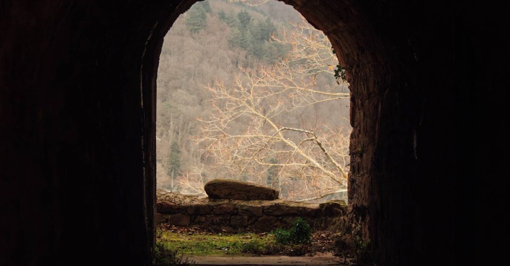 Chiropraktiker in Heidelberg Schlierbach